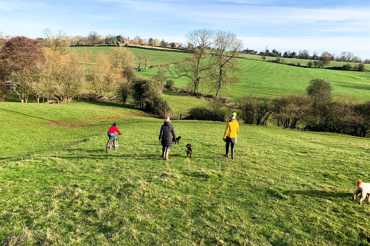 Family escape at The Mount